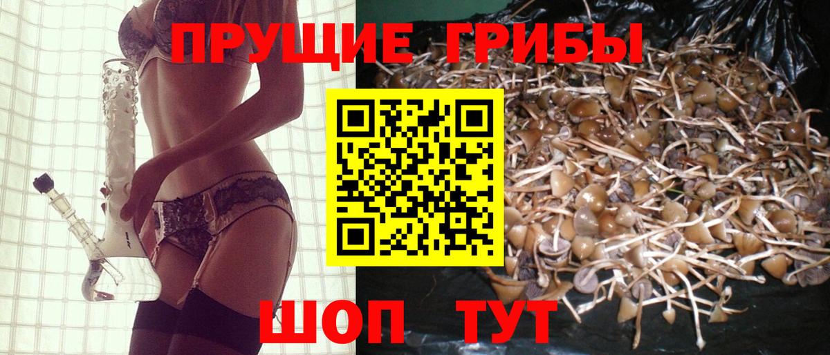 Галлюциногенные грибы Cubensis  Псилоцибиновые грибы GOLDEN TEACHER  Вход с VPN  Котлас 